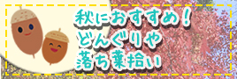 秋におすすめ！どんぐりや落ち葉拾い